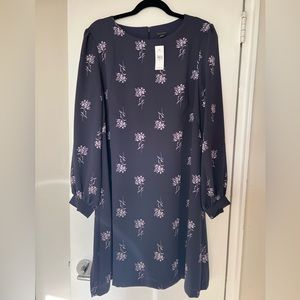 Ann Taylor dress